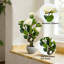 Camélia artificiel 19 "avec fleurs beiges et feuilles vertes, plante bonsaï en pot décoratif
