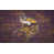 Minnesota Vikings