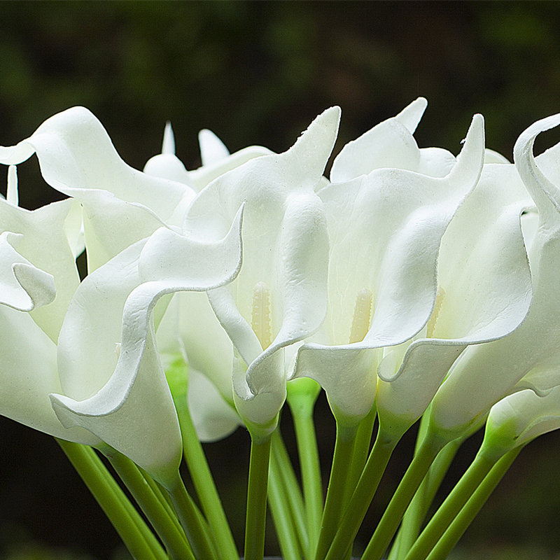 Lily Arrangement in Vase, White