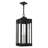 Ikeisha 4 - Light Outdoor Hanging Lantern-1925518093