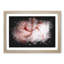 Petals of a Pink Carnation - Picture Frame Graphic Art Print-56861609-56861606
