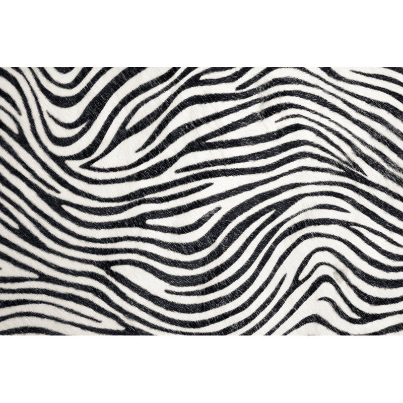 Zebra Background by LL28 - Wrapped Canvas Print, 81cm H x 122cm W x 3.8cm D