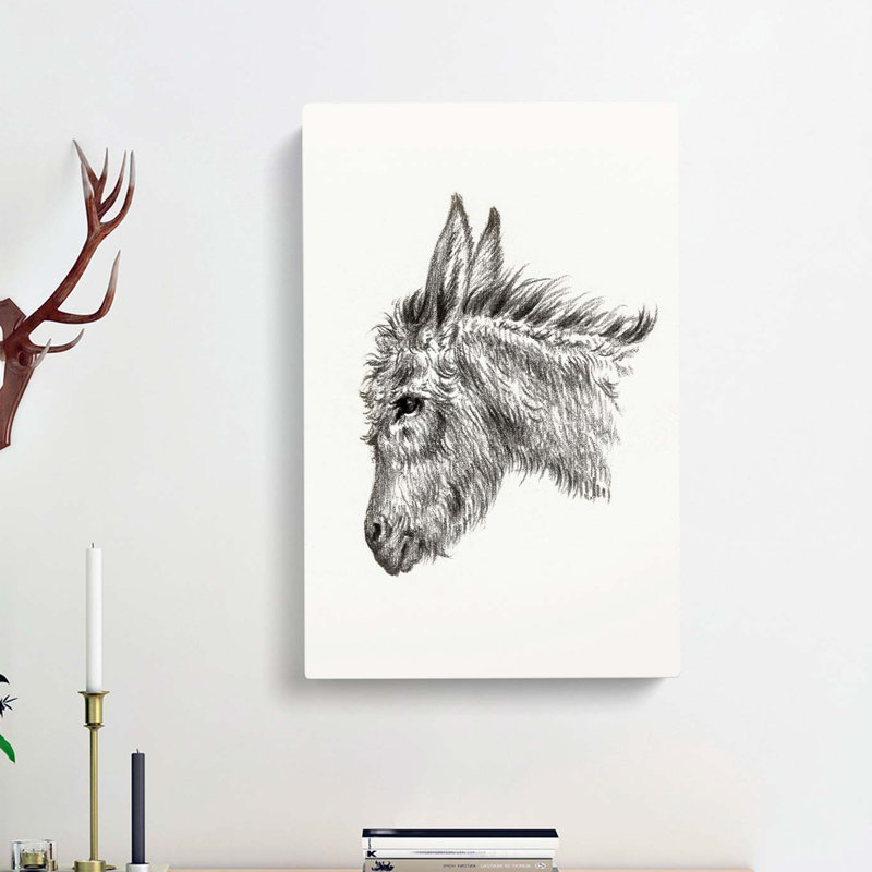Head of a Donkey by Jean Bernard - Wrapped Canvas, 60cm H x 40cm W x 3cm D