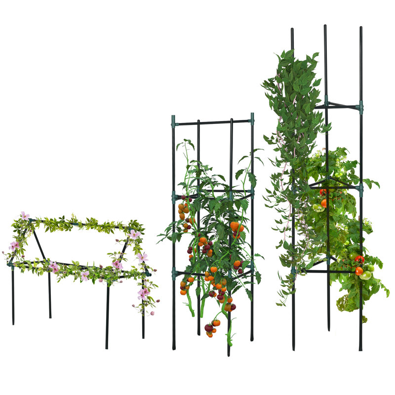 Ensemble de 3 cages à tomates, support de plante à tomates, vert foncé