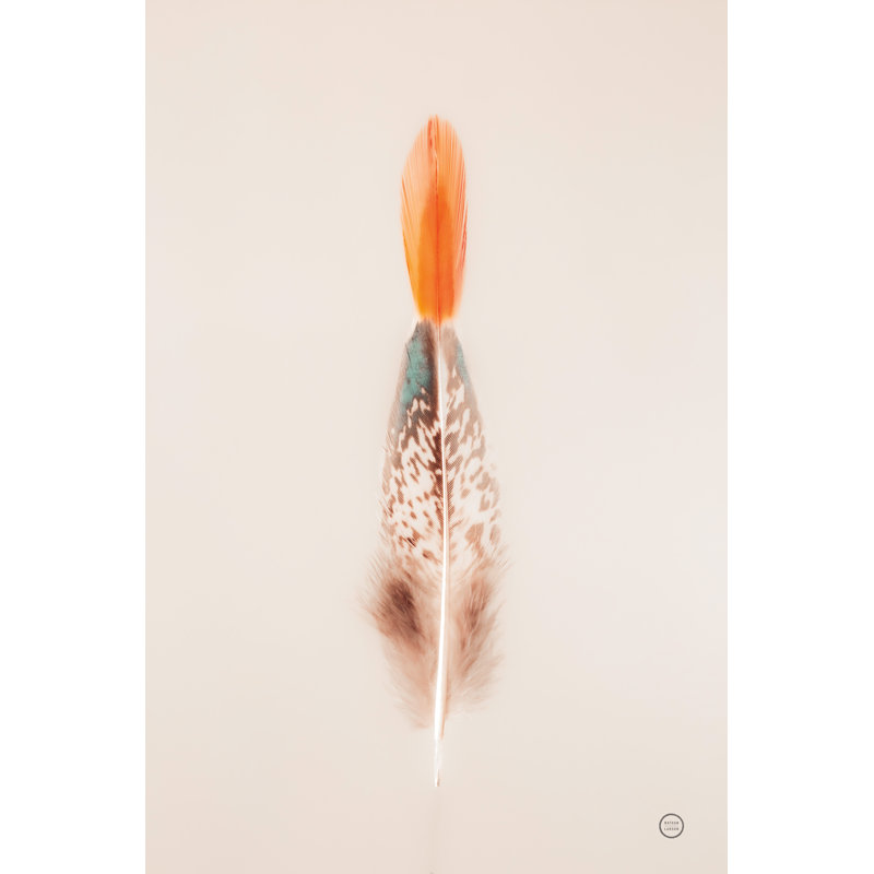 Plumes flottantes I, H 8 po x l 12 po x P 1,25 po
