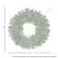 Couronne belge-105230157