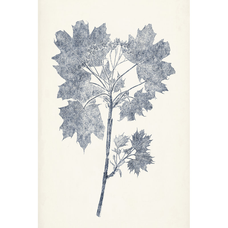 Navy Botanicals I by Vision Studio - Painting, 30 cm H x 20 cm W, Black Floater Framed