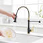 Robinet de cuisine commercial avec pulvérisateur rétractable, robinet d'évier de cuisine à poignée simple-126749241