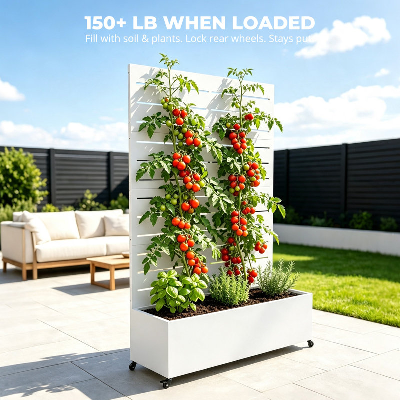 Boîte à fleurs mobile en métal avec écran d'intimité et roues verrouillables pour le jardin extérieur, Simple, Blanc / Blanc