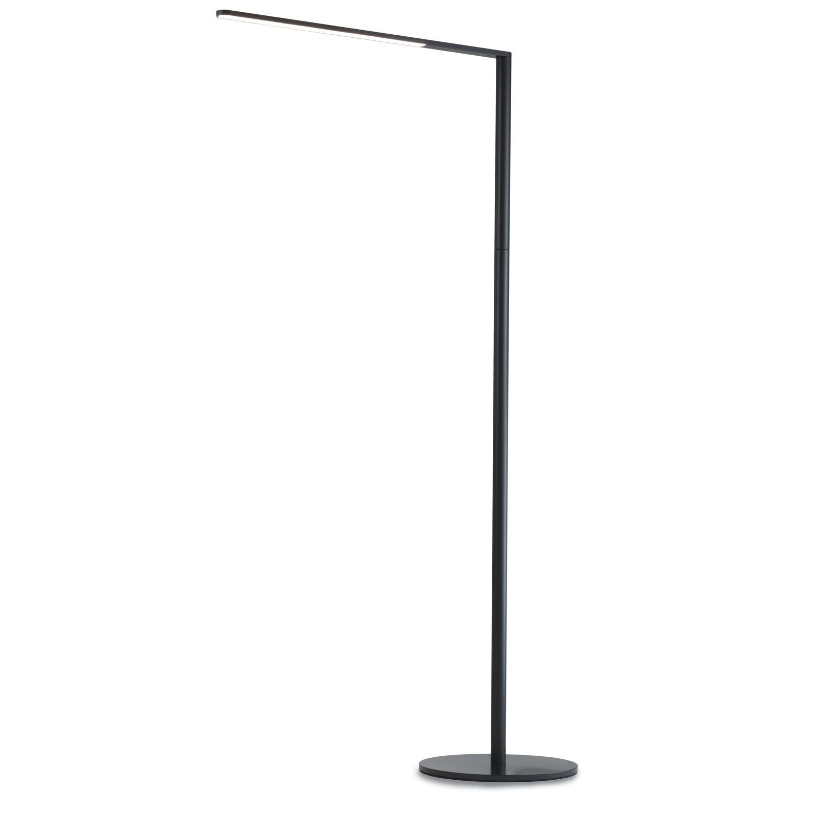 Lady7 52.05'' Dimmable LED Floor Lamp, Metallic Black