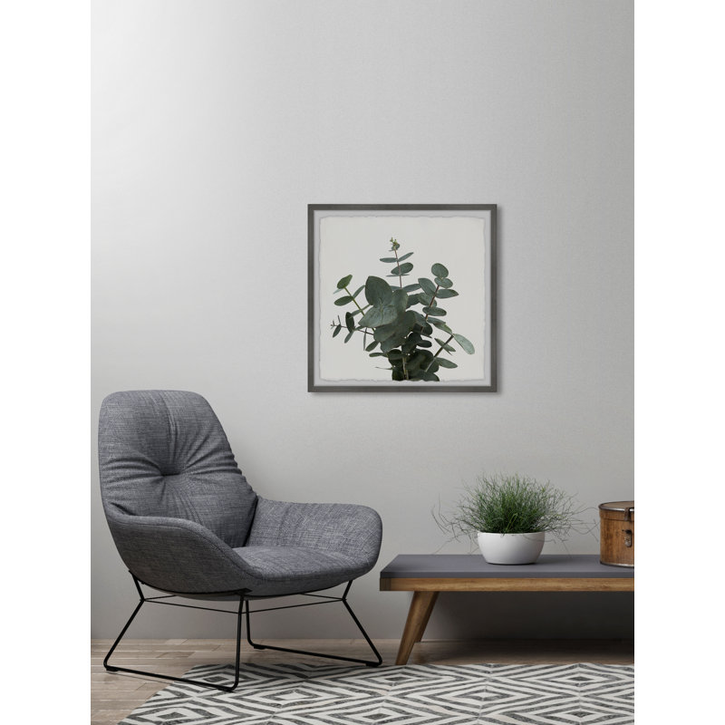 Green Eucalyptus Leaves - Single Picture Frame Painting, 51 cm H x 51 cm W