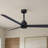 Alessandra 56'' Ceiling Fan-1813771988-1813772026