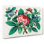 Flowers & Butterfly - Wrapped Canvas-55314317
