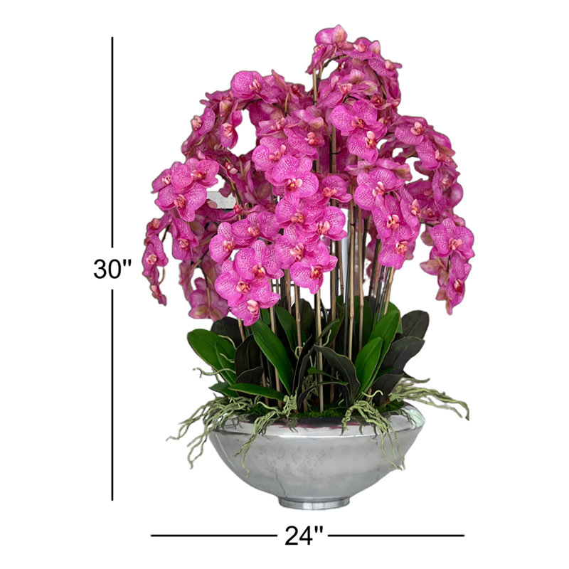 Multiple Stems of Phaleanopsis Orchids Centerpiece in Planter, Pink