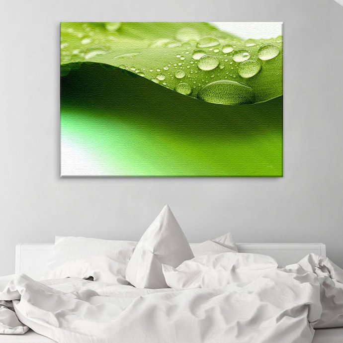 Water Drops Graphic Art Print on Canvas