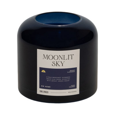 Moonlit Sky