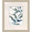 Underwater Botany Set by Barnes Propac Images