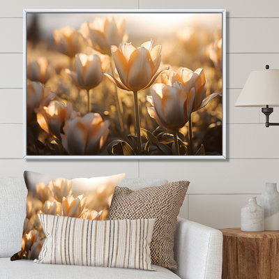 " White Tulips Field With Sunshine "