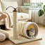 Centre d'activité d'intérieur pour arbre à chat avec poteau à griffes en sisal et jouets à pompons suspendus pour chat