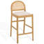Laylie Rattan And Leather Counter Stool-1887483495