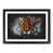 Black Framed selected