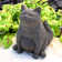 Happy Fat Cat Statue