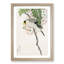 Masked Hawfinch & Silk Tree by Numata Kashu - Framed Print-55770765-55770767