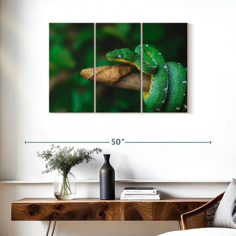 Emerald Tree Snake, 24" H x 38" W