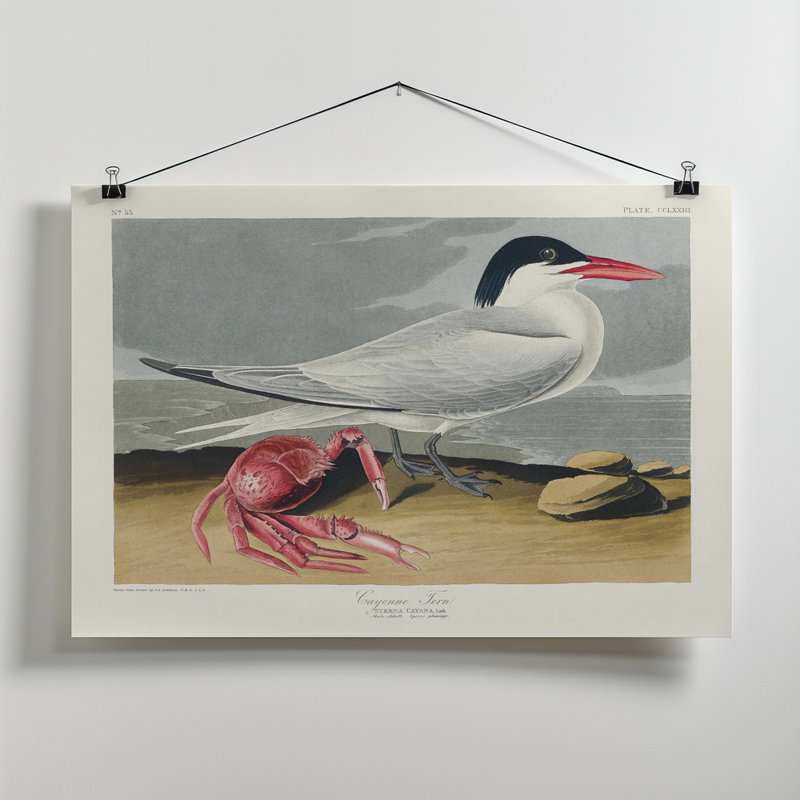 Wrapped Canvas Print, 81.28 cm H x 121.92 cm W
