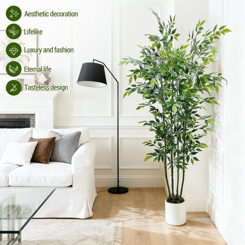 183cm Plant