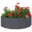 Planter Box-1713695288-1713695289
