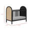 Bondi Cane 3-in-1 Convertible Crib with Toddler Bed Conversion Kit-612367771