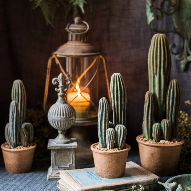 Cactus en pot, H 10,4 po x l 4,3 po x P 2,9 po