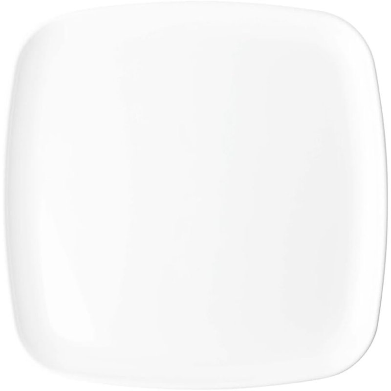 Disposable Dinner Plate, Set of 10