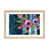 Framed Print with Mat Paper is unavailable