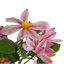 Plastic, Silk Magnolia Arrangement