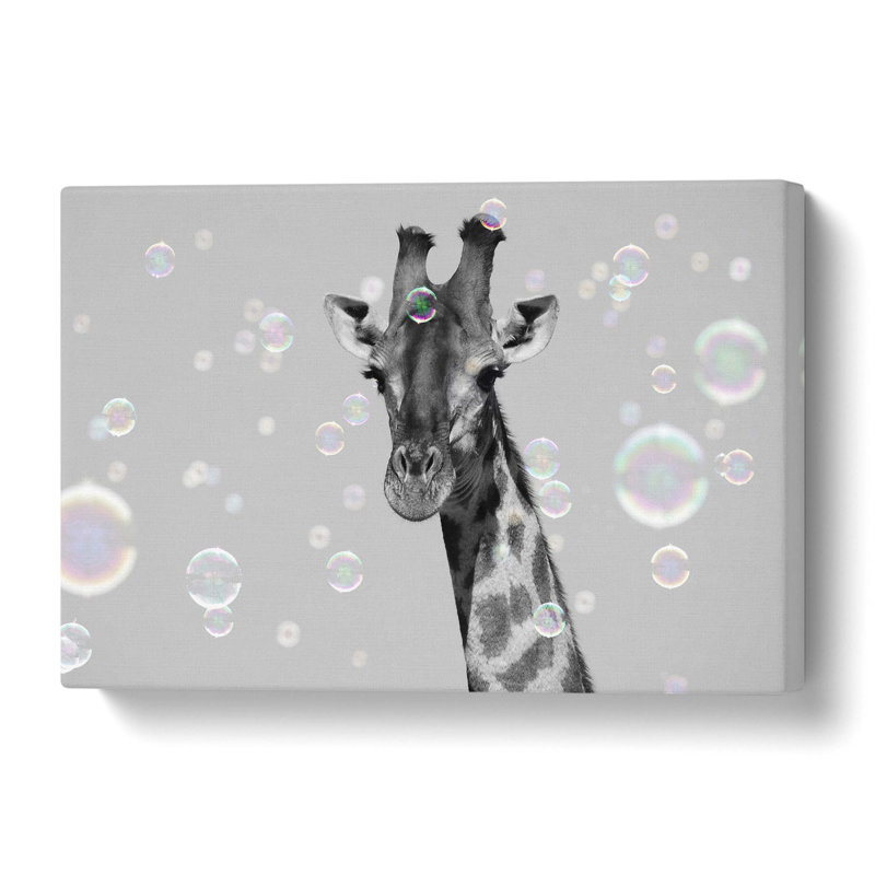 Giraffe Through the Bubbles Photograph - Wrapped Canvas, 35.6 cm H x 50.8 cm W