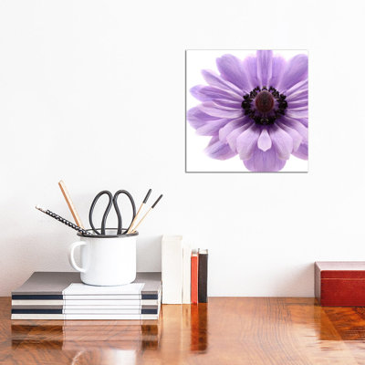 Pale Lilac Anemone 1 Piece Wrapped Canvas Wall Art