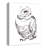 " Owl Sketch "