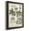 Toile encadrée de qualité supérieure Imperial Foliage I - prête à être accrochée-1252581938