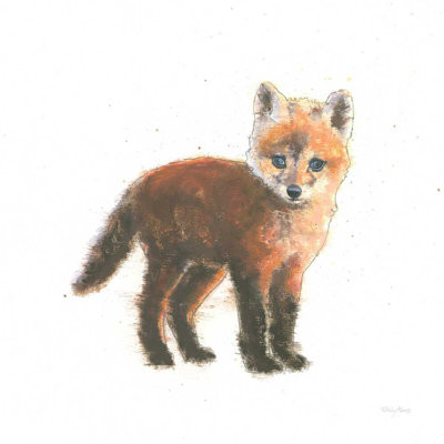 Renard dans les bois