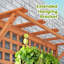 Jardin vertical en bois massif avec treillis Pachl 2 pi x 1,5 pi