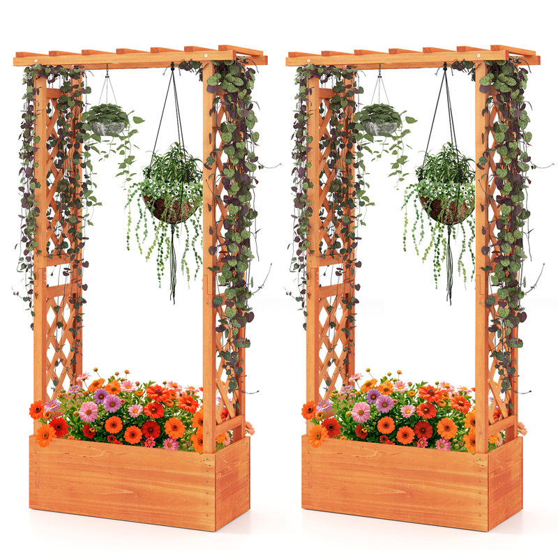 Lit de jardin surélevé avec treillis 2 pièces