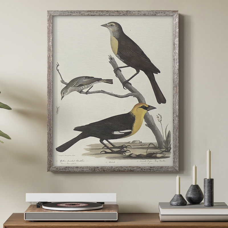 «Vintage Animal Print XVIII», reproduction encadrée - bois massif, H 30 po x l 24 po