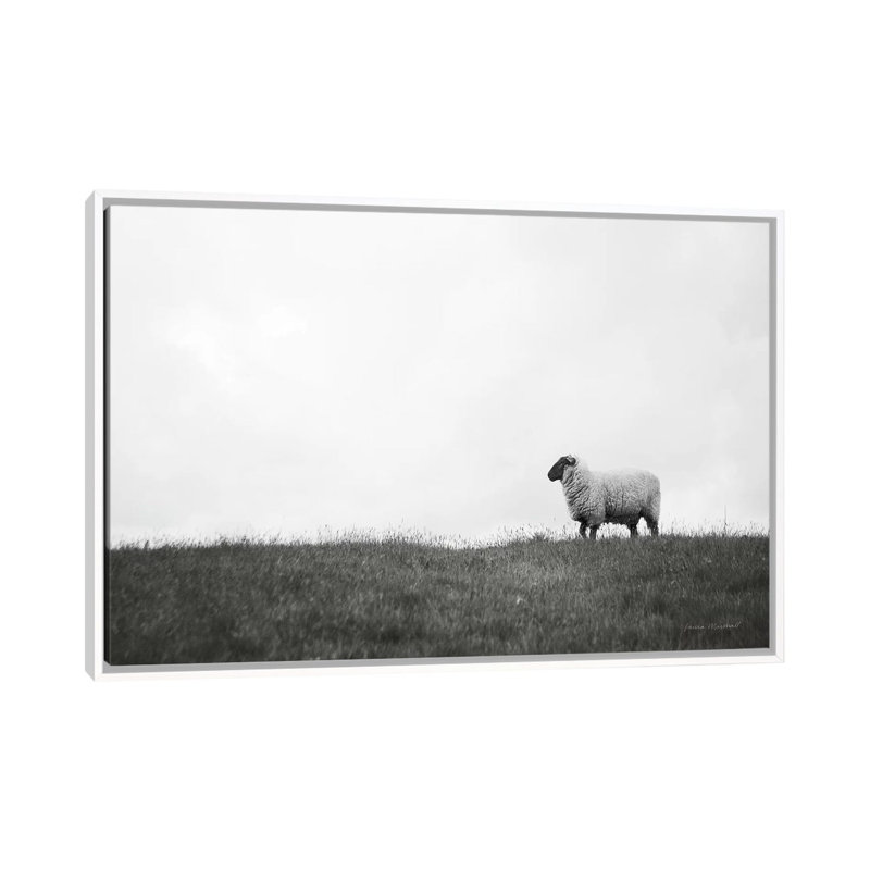Photographie « islay ovin ii », H 26 po x l 40 po x P 1,5 po, Toile blanche encadrée