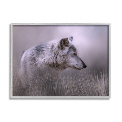 " Gray Wolf Wildlife "