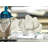 Albie Animals Figurines & Sculptures