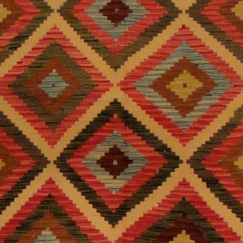 Azpeitia Wool Southwestern Indoor Rug