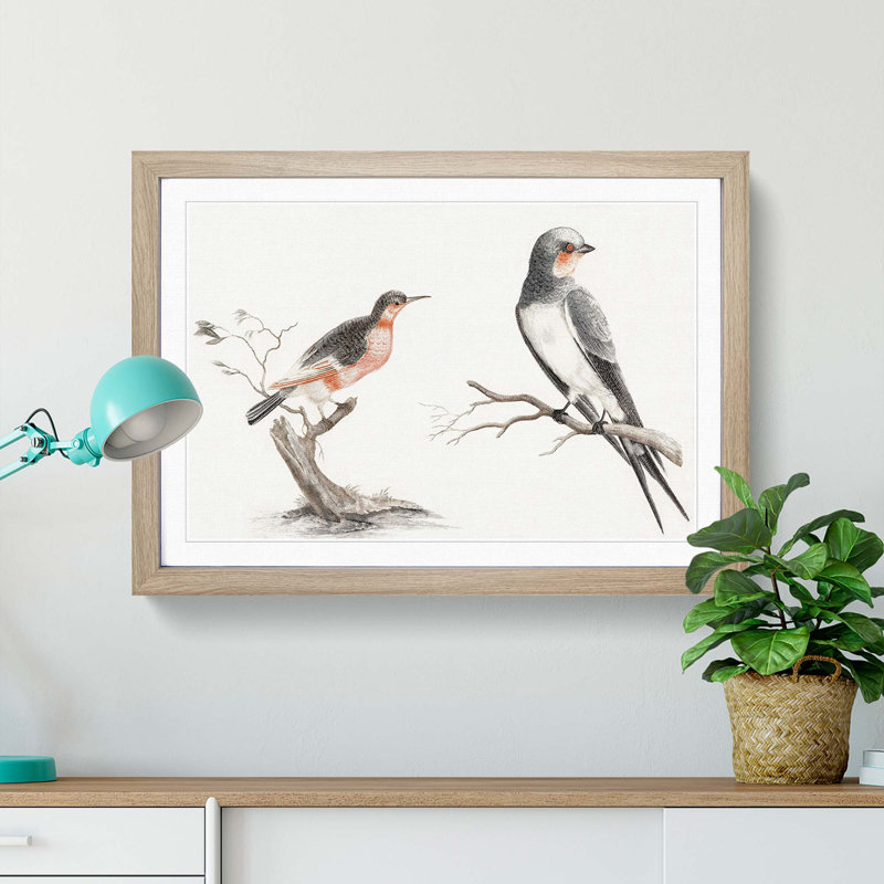 Songbird & Bee-Eater Bird by Johan Teyler - Framed Print, 36cm H x 48cm W x 2cm D, Oak Framed