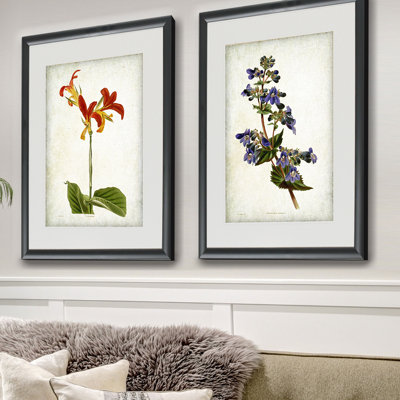 « rétro, esquisse botanique iii », ensemble de 2 reproductions de peintures à l’acrylique encadrées